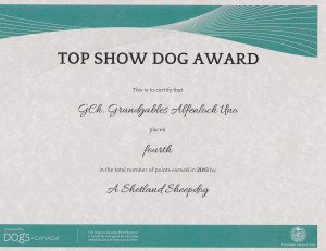 Uno Top Show Dog Award
